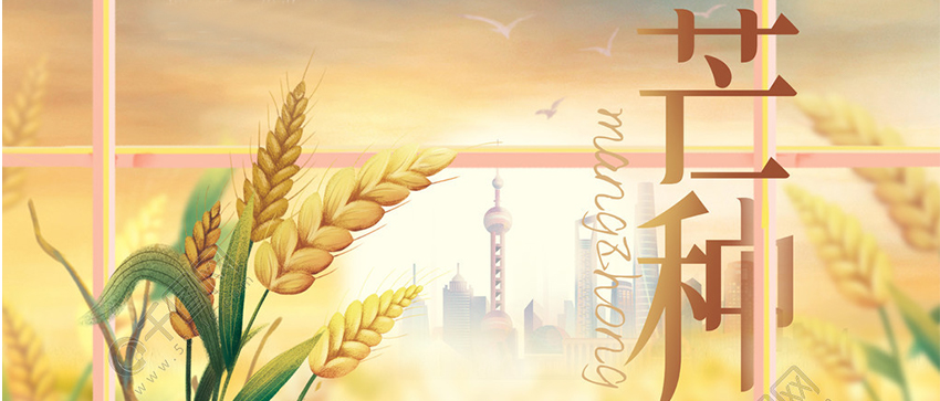 ?芒種 | 梅黃仲夏奮斗時，不慌不“芒”，勤思勤“種”